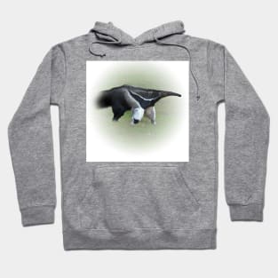 Giant anteater Hoodie